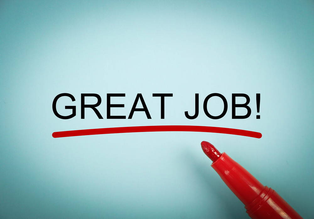 delaware business incorporators' employees do a great job and offer exceptional service
