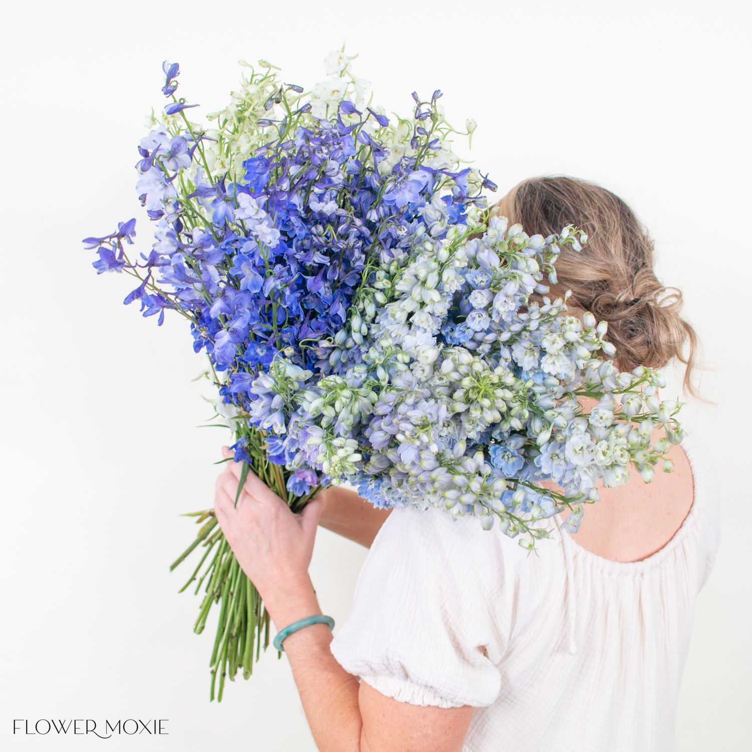 bulk delphinium