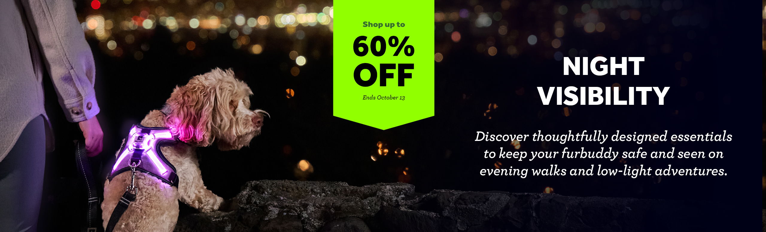 Dog wearing a light-up harness, promoting night visibility and a discount offer.