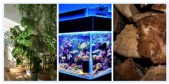 Three images: indoor plants, a vibrant aquarium, and stacked firewood.