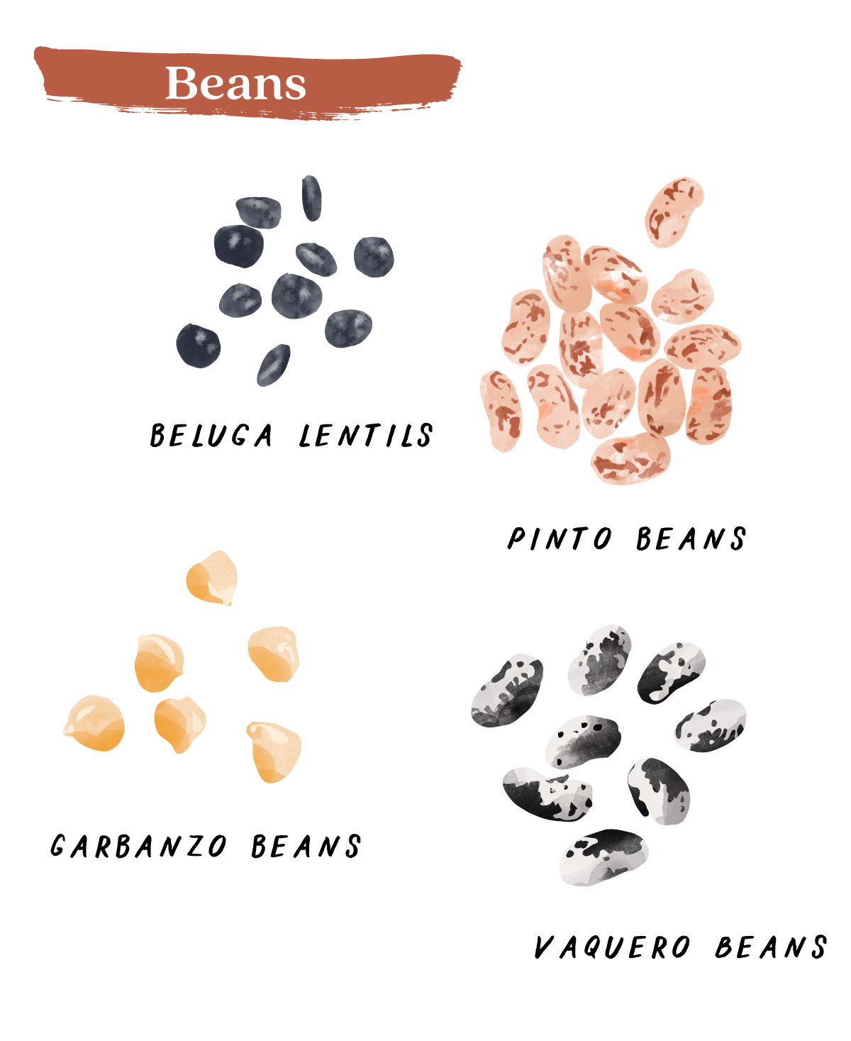 Beans!