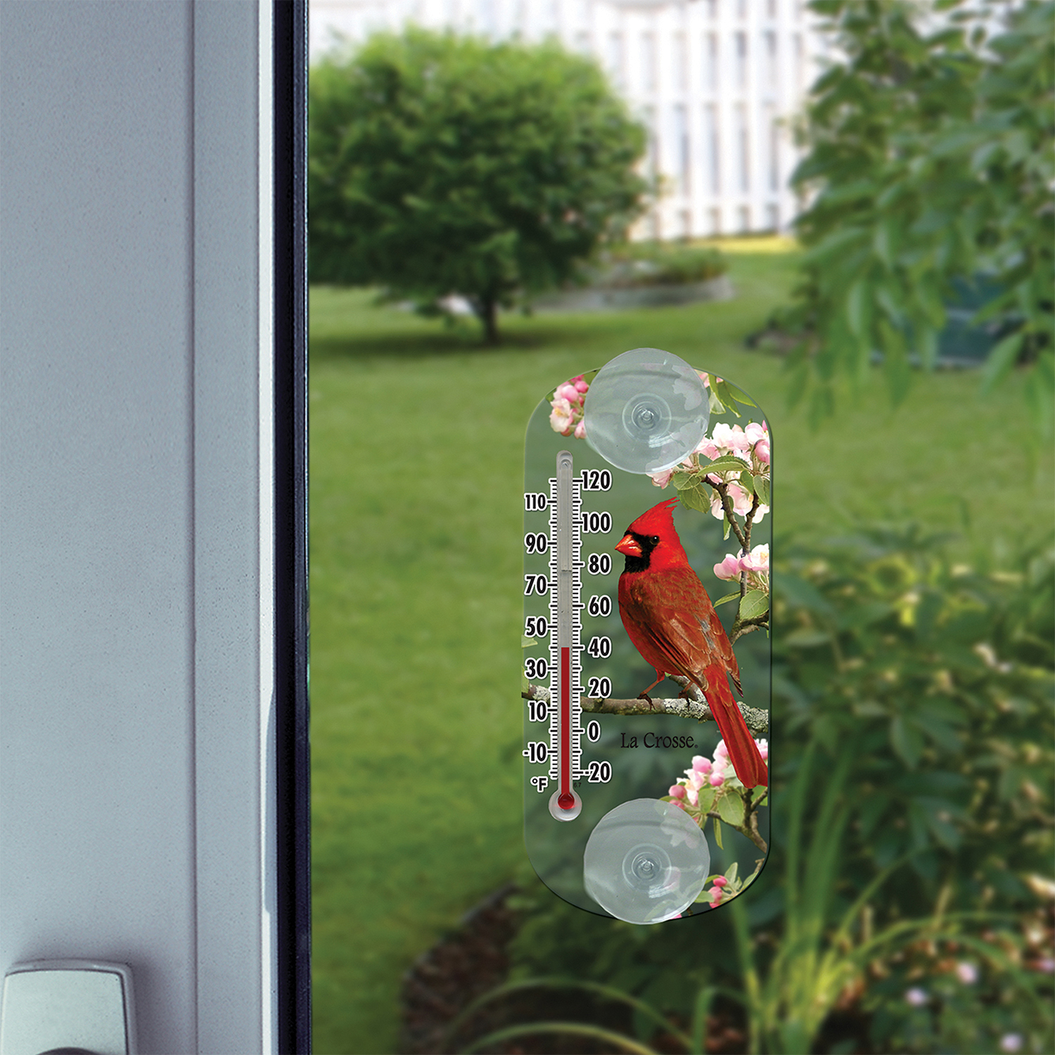 Capillary Cling thermometer