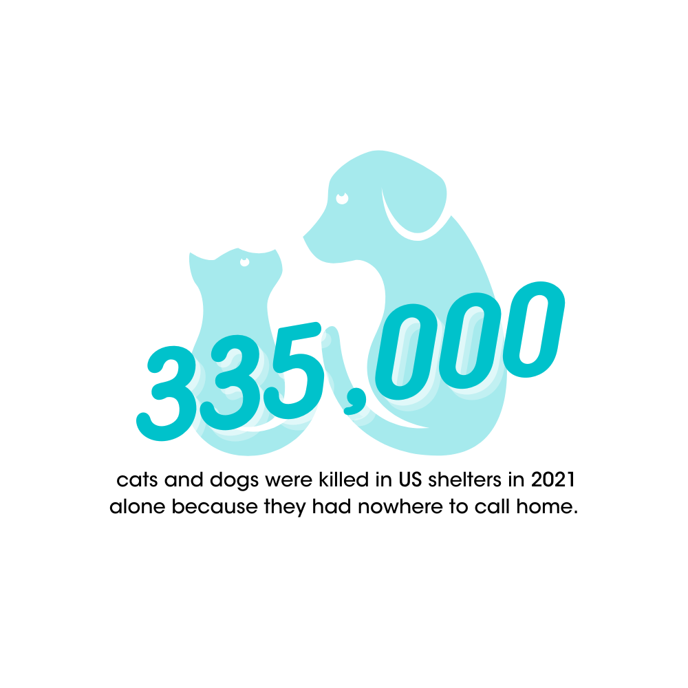 335,000 cats and dogs were killed in US shelters in 2021 alone because they had nowhere to call home. 