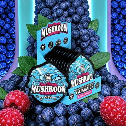 Colorful packaging of mushroom gummies surrounded by blueberries and raspberries.