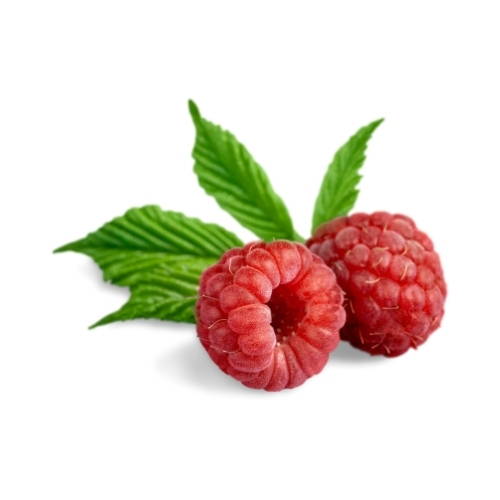 Can Dogs Eat Raspberries? Are Raspberries safe for dogs to eat, can dogs eat fruit, bone idol