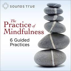 The Practice of Mindfulness
