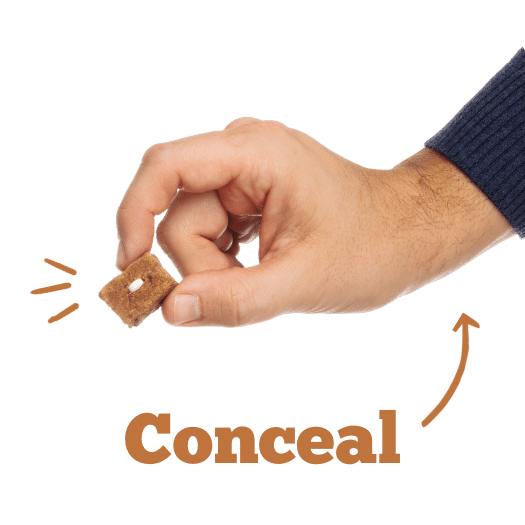 Hand holding a cube of food with a pill inside. Text: Conceal