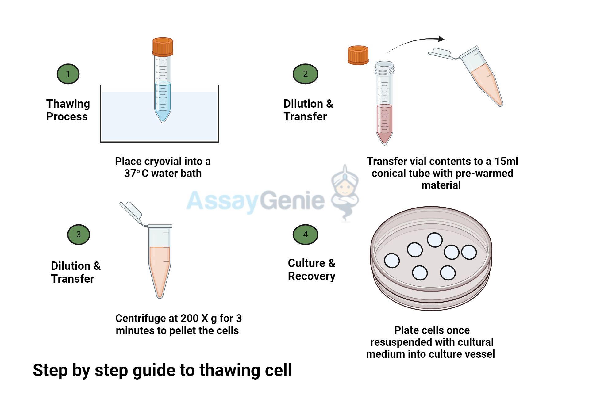 thawing cells