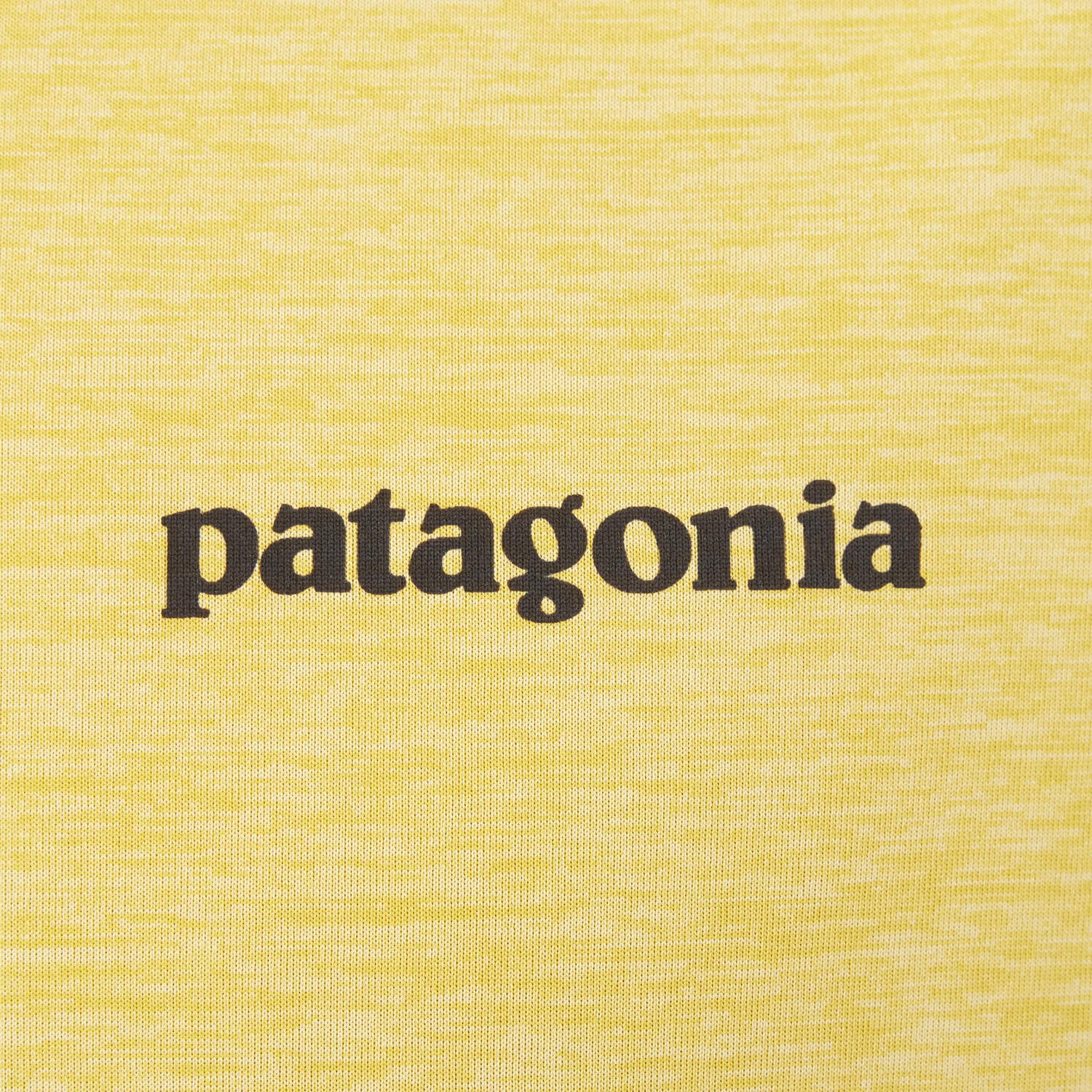 patagonia（パタゴニア）/ショートスリーブキャプリーンクールデイリーグラフィックシャツウォーターズ/MENS