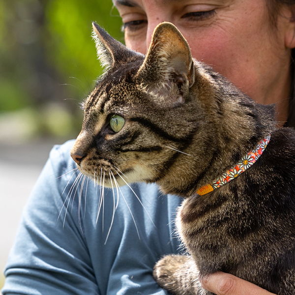 A person holding a tabby cat outdoors, both looking to the side.