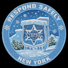 NYSPSEL