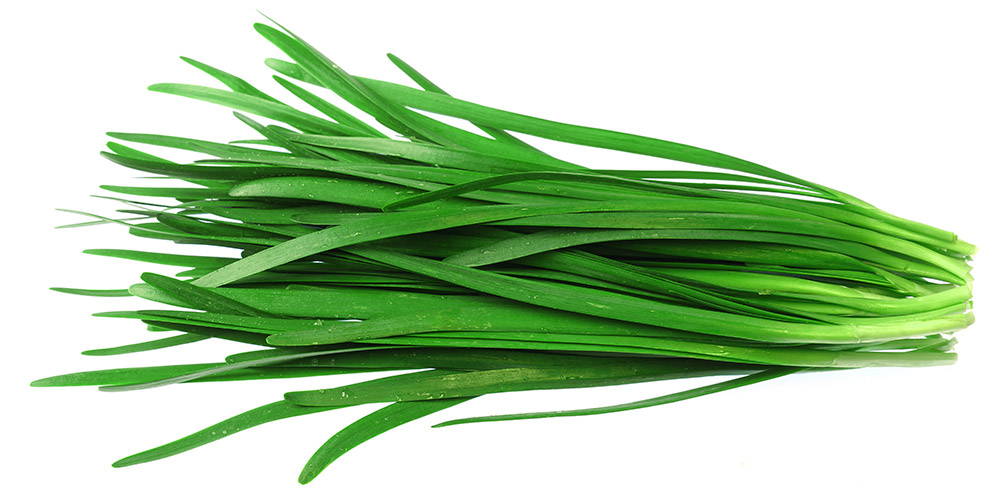 Garlic Chives