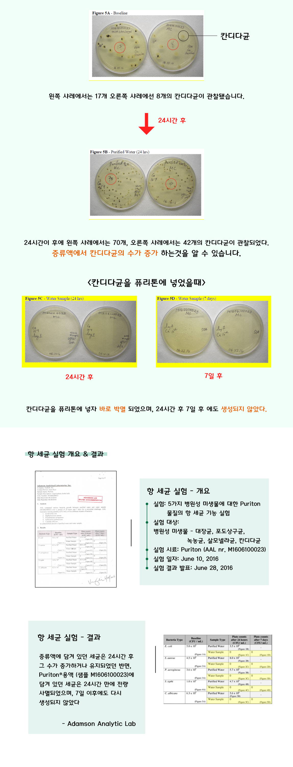 유해균 박멸 및 2차 세균 감염방지 복부통증 패혈증 피부염 발열 식중독 대장균 포초상구균 녹농균 살모넬라균 칸디다균 유아 성인 설사증 원인 출혈성 대장염 용혈성 요독증증후군 