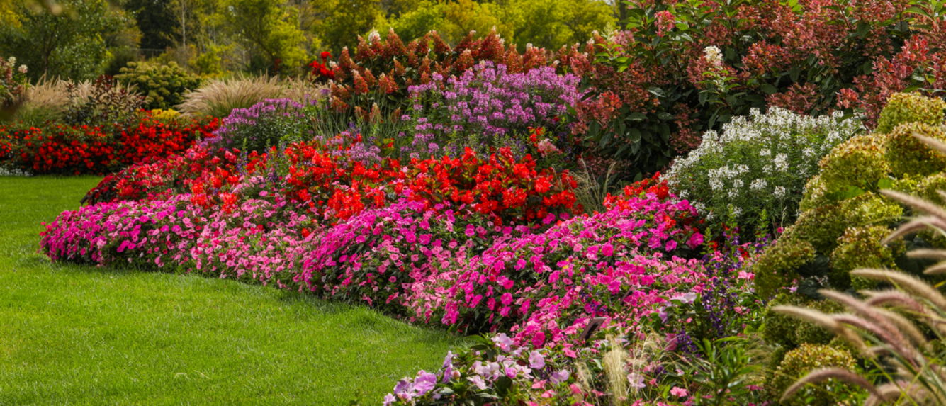Landscape garden filled with many colorful annuals
