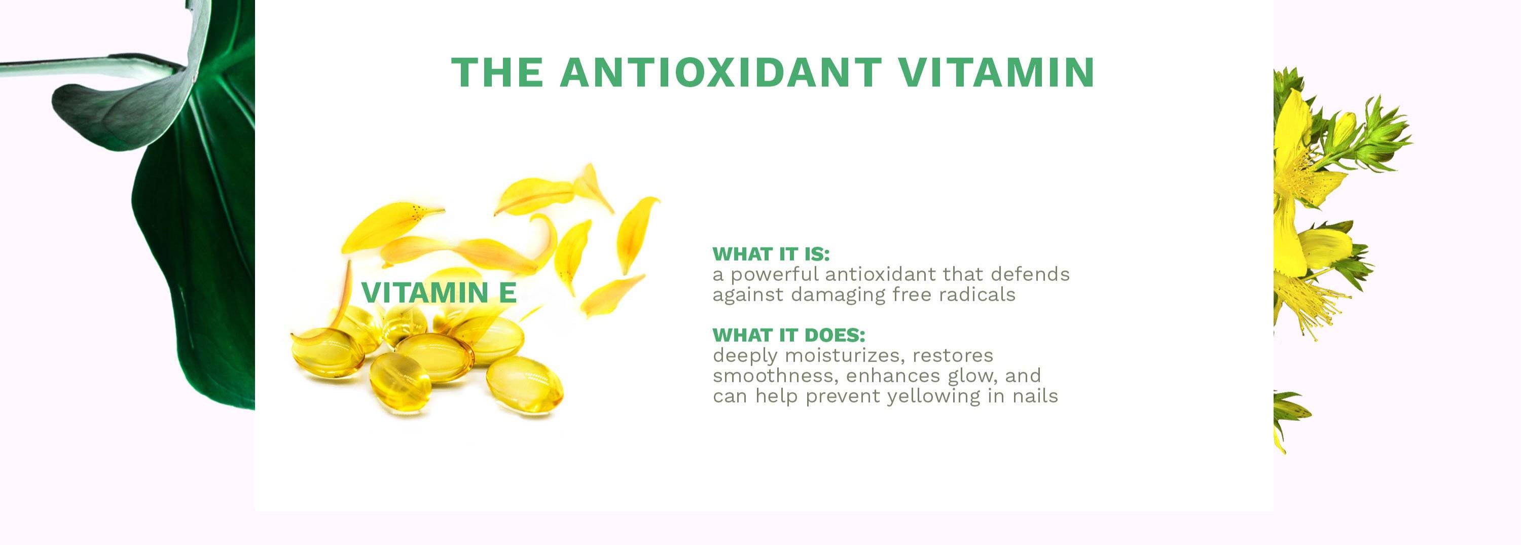 The Antioxidant Vitamin E