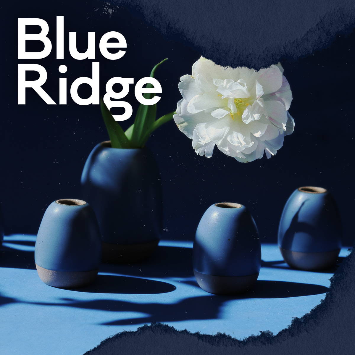 Blue Ridge Playlist
