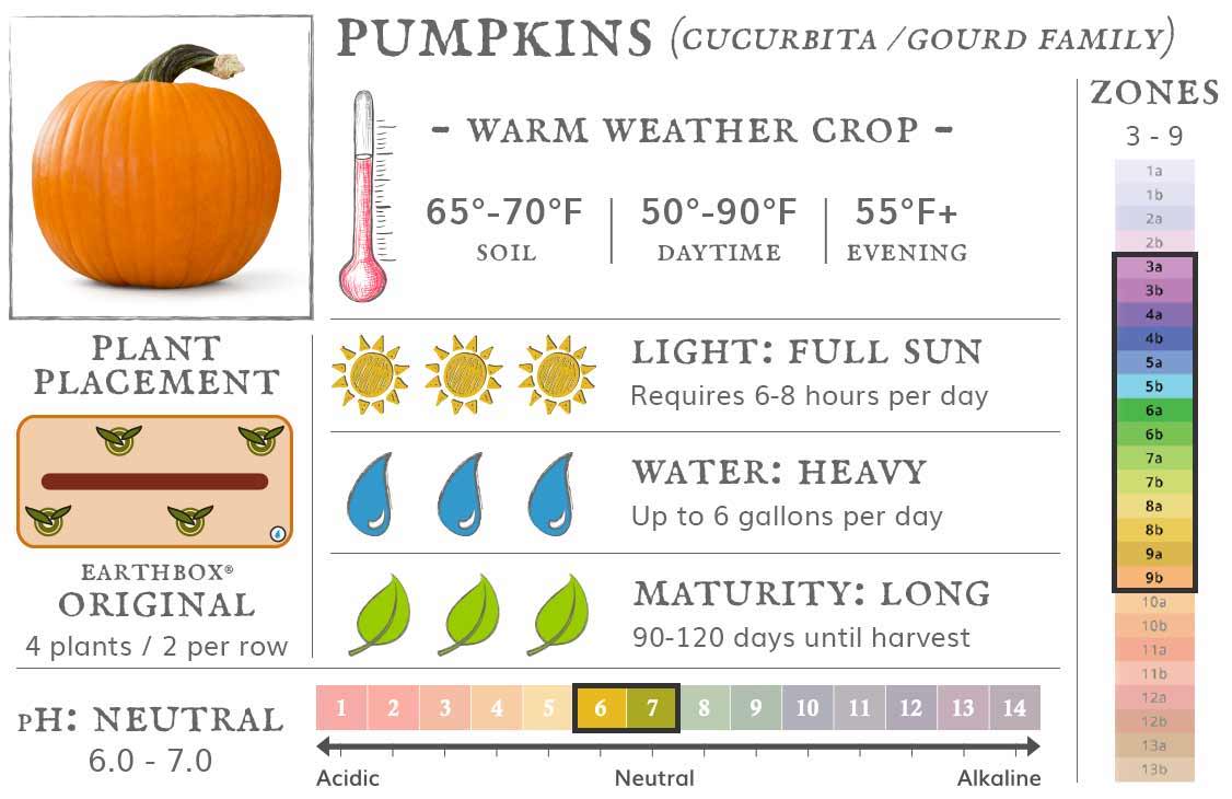 Pumpkins are a warm weather crop best grown in zones 3 to 9. They require 6-8 hours sun per day, up to 6 gallons of water per day, and take 90-120 days until harvest. Place 4 plants, 2 per row, in an EarthBox Original