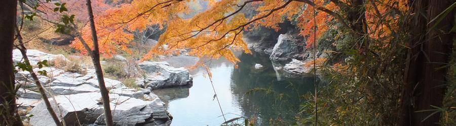 【埼玉】嵐山渓谷月川荘キャンプ場：紅葉を見ながらバーベキュー！