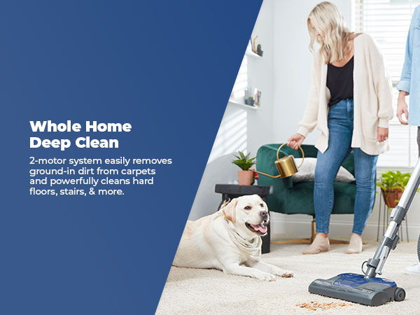 Person vacuuming a carpet with a dog nearby.