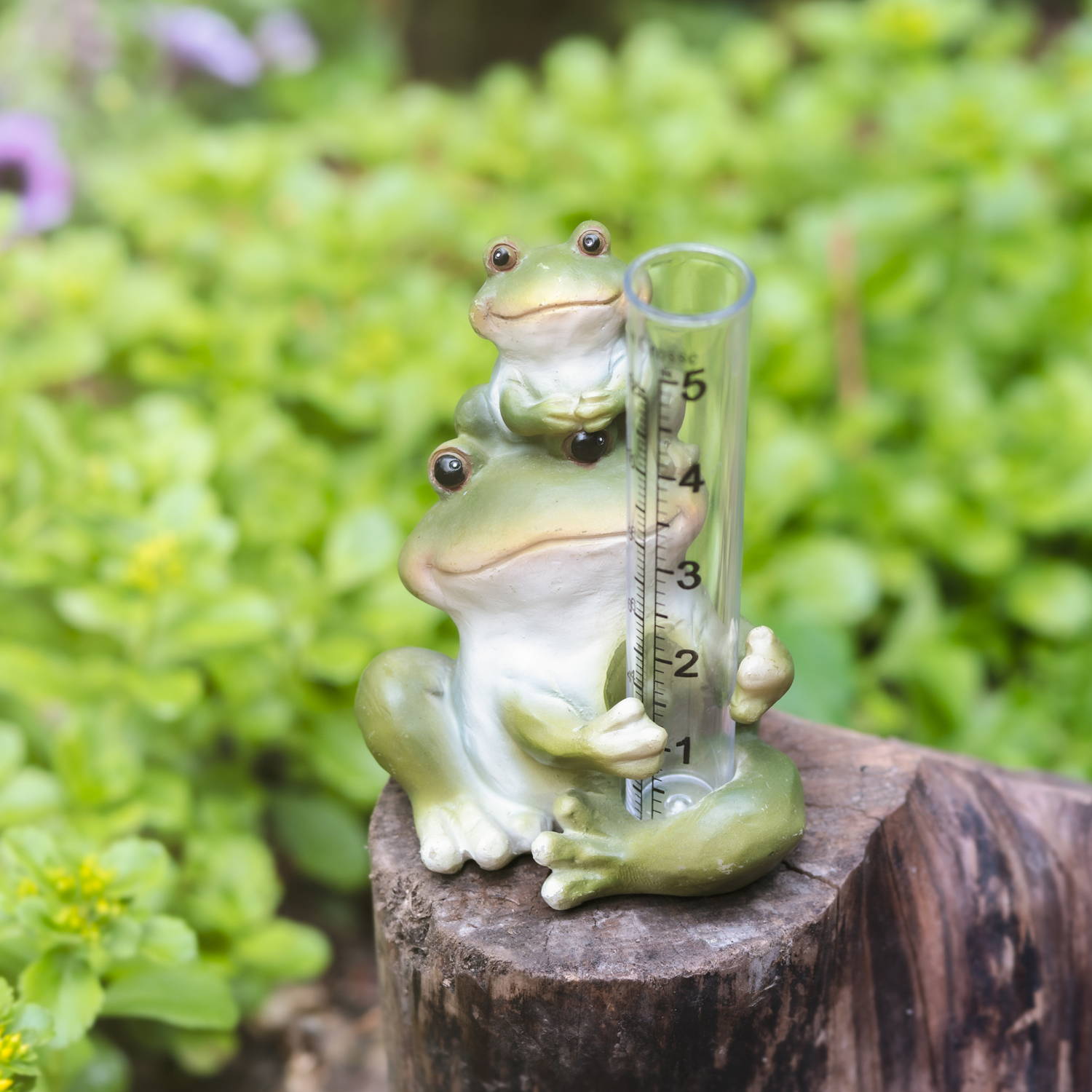 Decorative Frog Rain Gauge 
