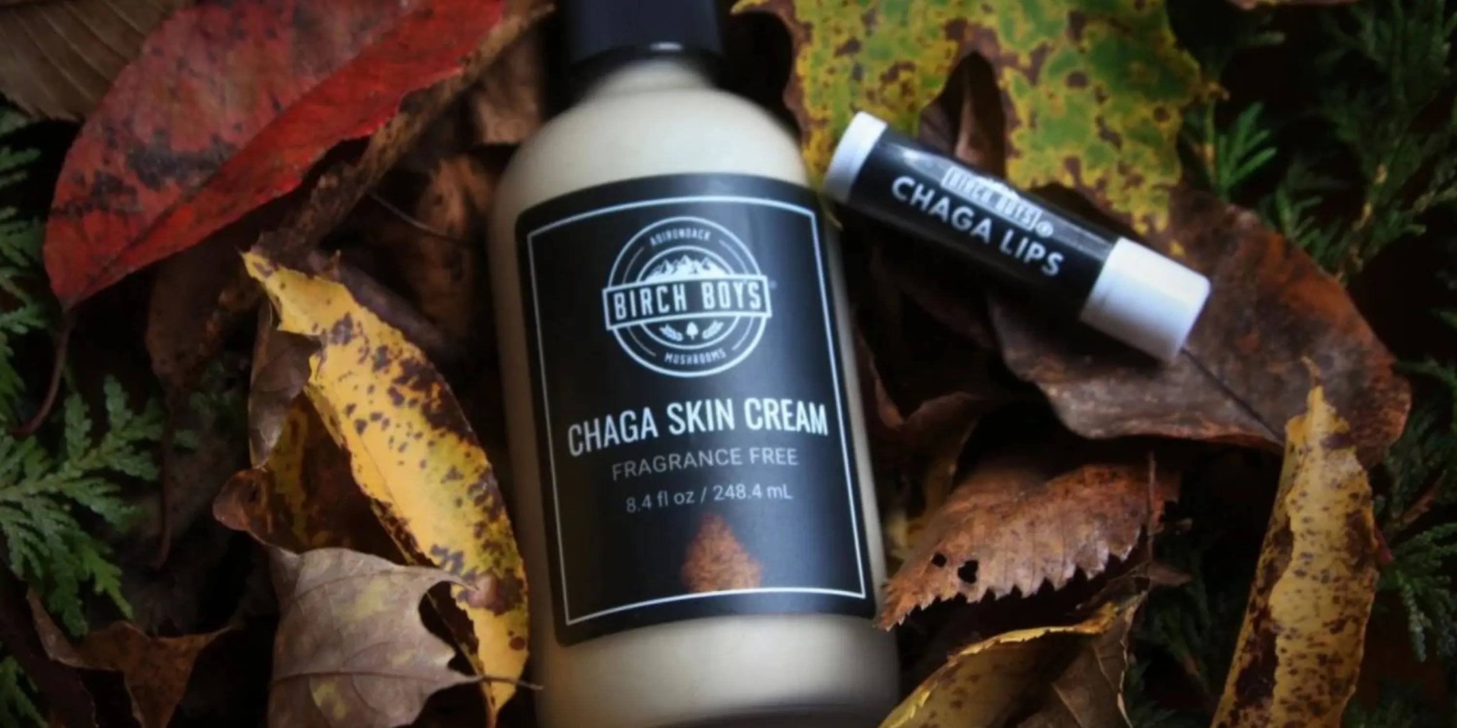 Chaga Skin Cream and Chaga Lip Balm on a bed of autumn fall leaves