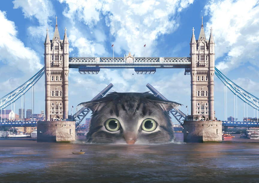 A giant tabby fold cat pops up under Tower Bridge by the Tower of London on the River Thames