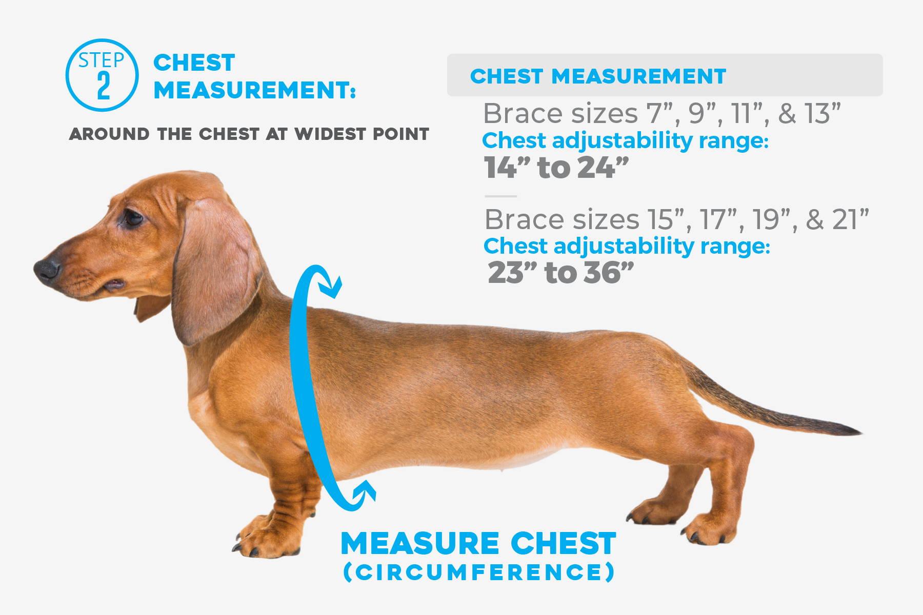 Chest Measurement and Sizing Chart for dog back brace