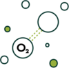 chlorophyll oxygen source icon