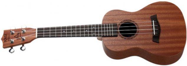 Ukulele for Left-Handers: The Complete Guide by Joel