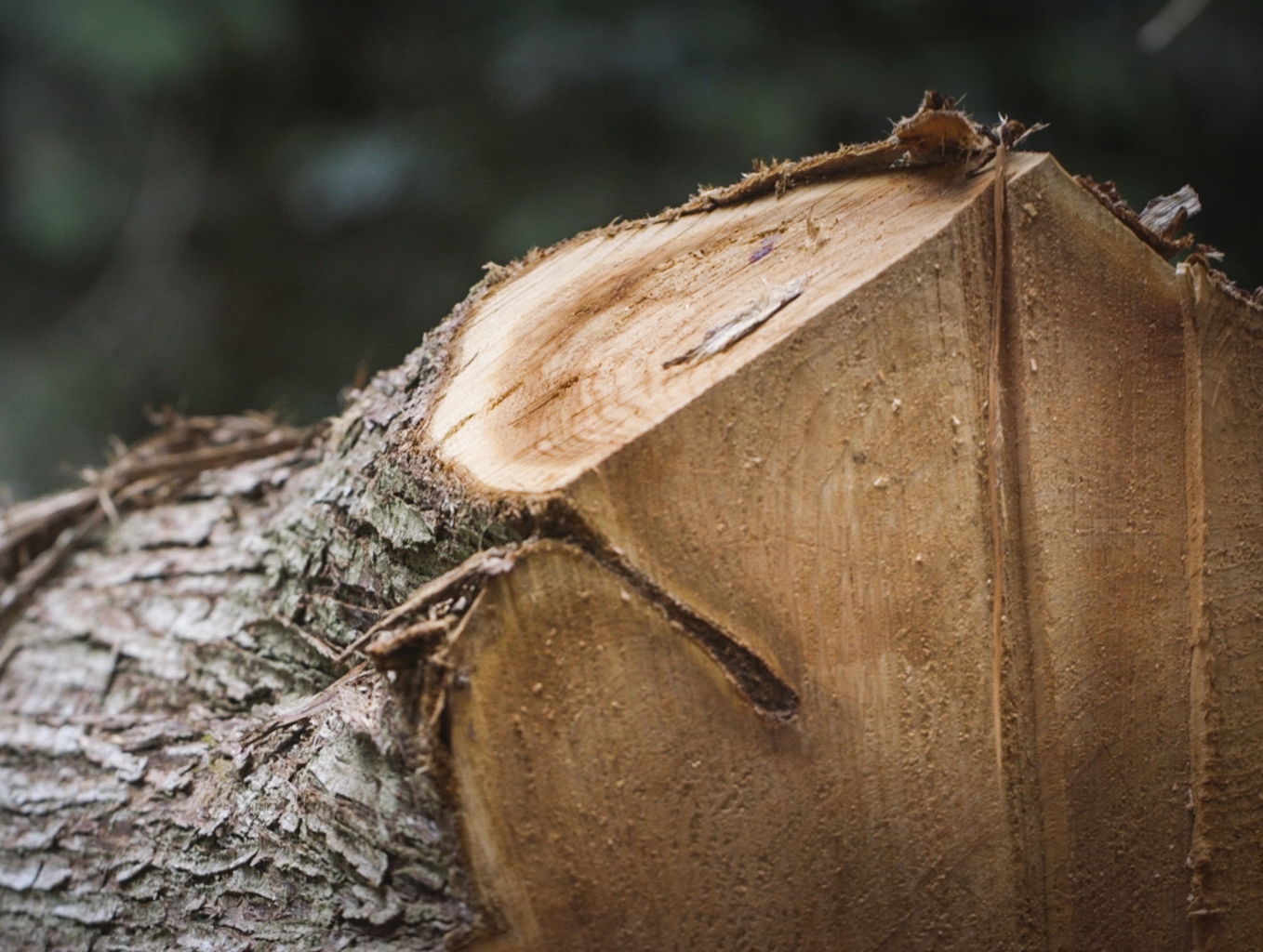 FSC Certified wood beehives