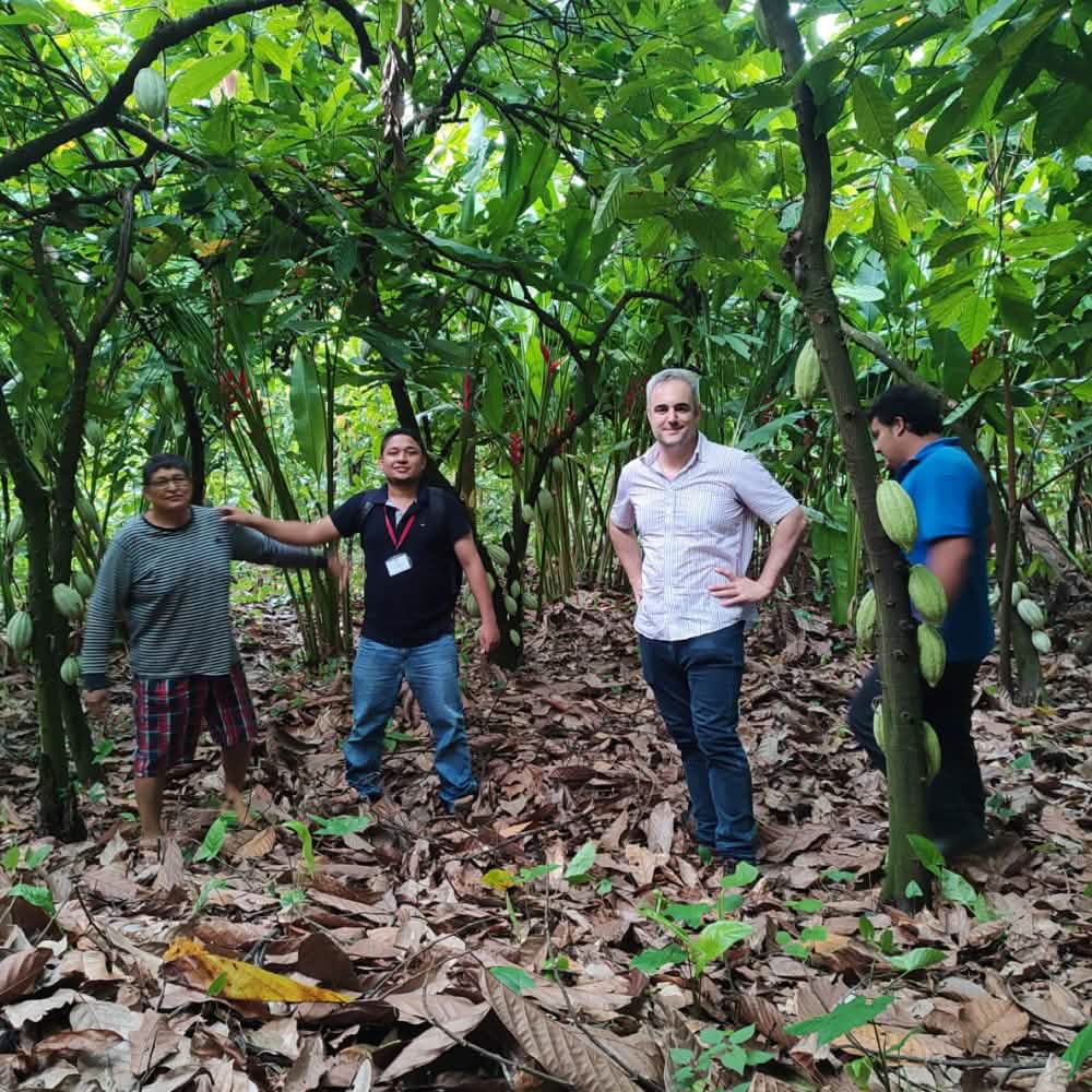 Four people standing in a lush cacao farm surrounded by green foliage.