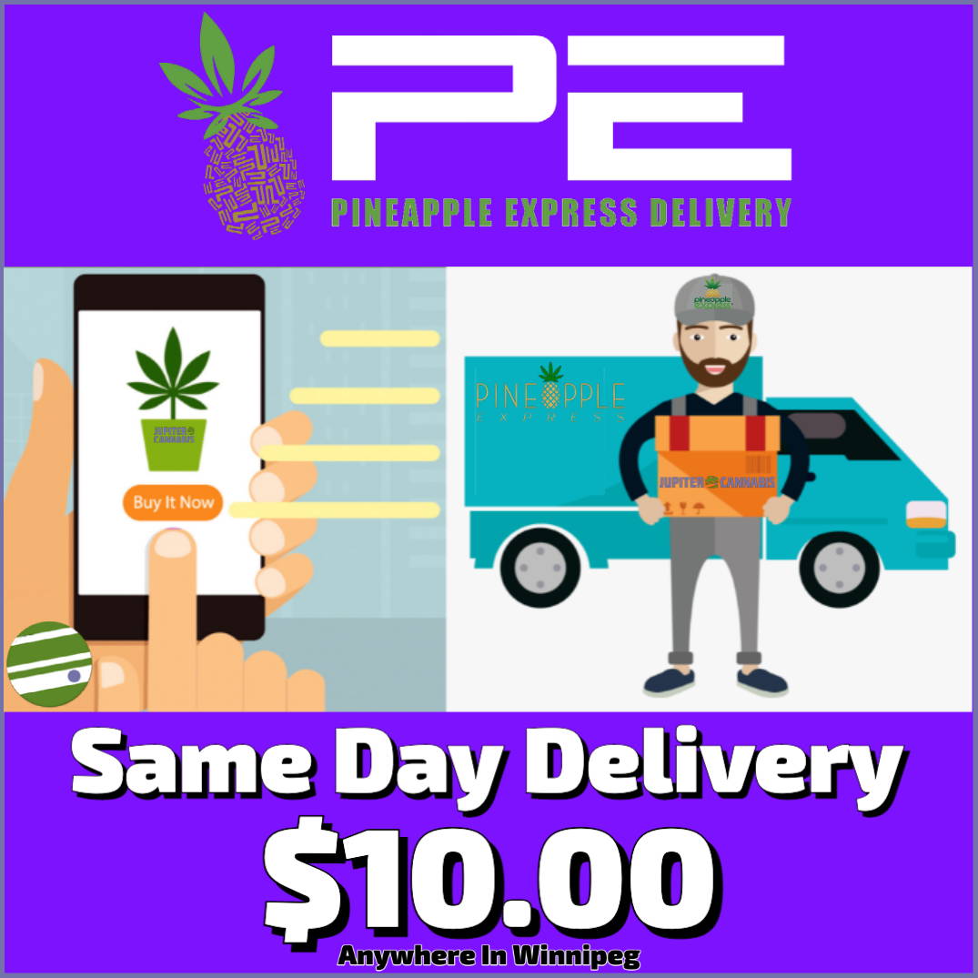 Order cannabis online and it will be delivered the same day in Winnipeg by Pineapple Express for $10.00.