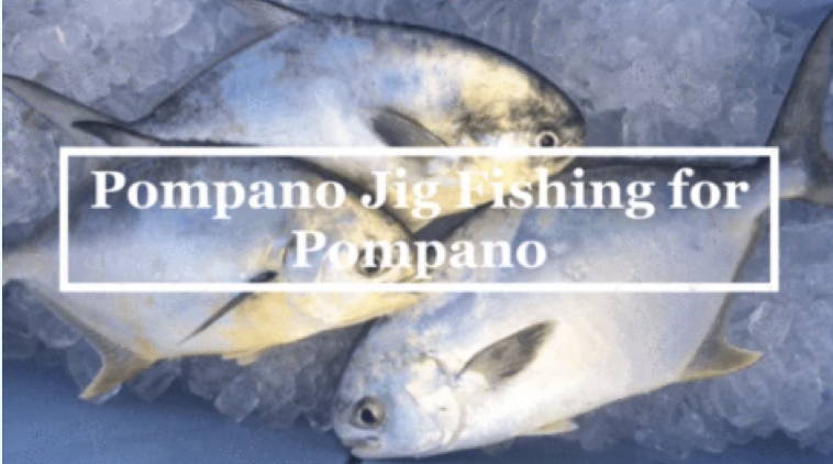 Pompano Jig Fishing For Pompano