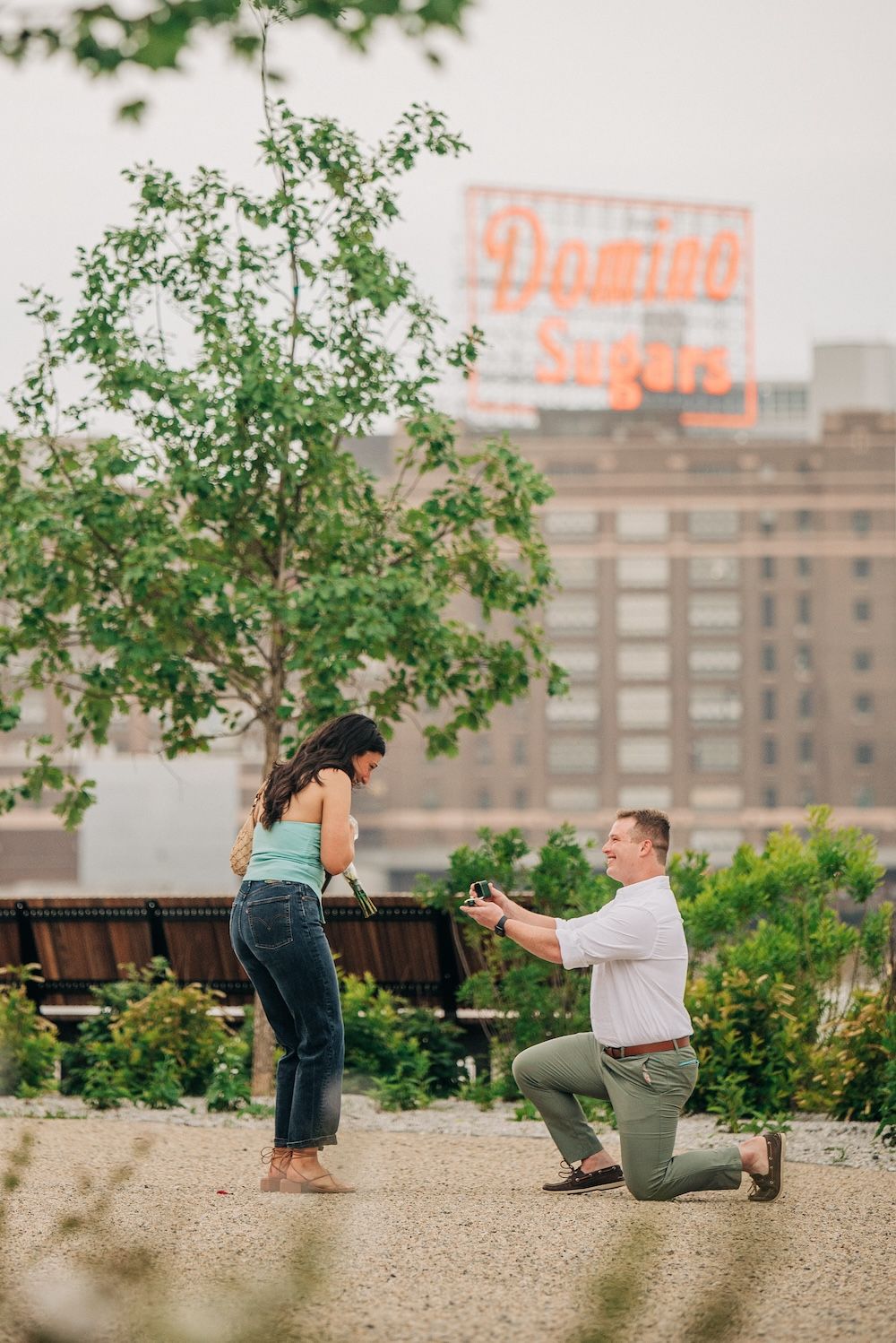 man on bended knee proposing in front of domino sugar sign, baltimore