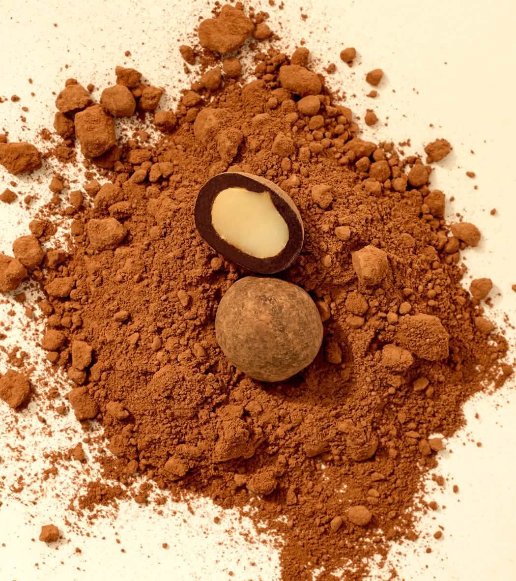 Cocoa powder with whole and halved chocolate-covered nuts on a white background.