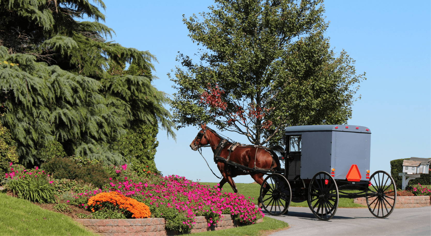Amish Horse and cart in Lancaster, PA