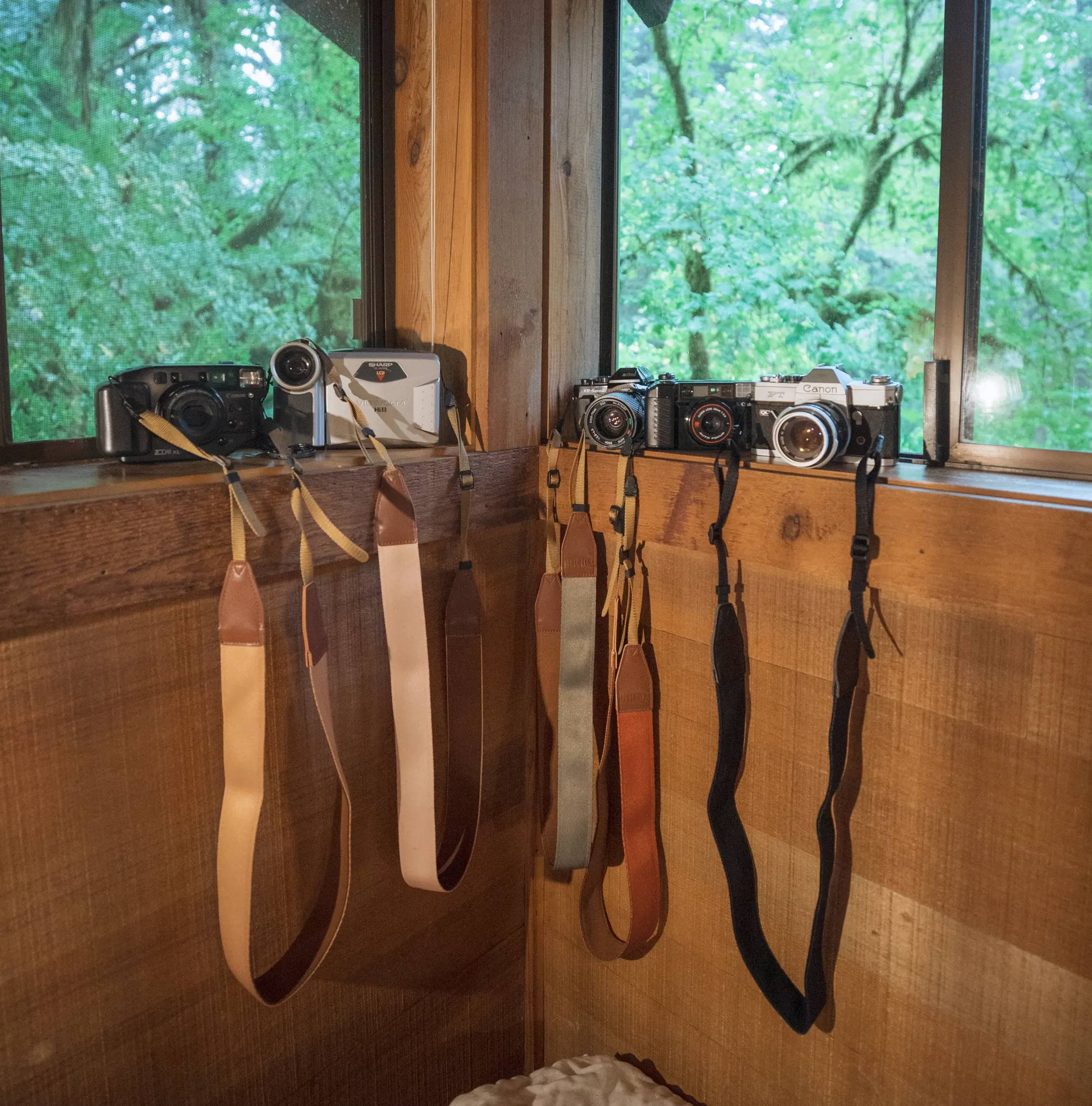 Four cameras lined up on a windowsill with solid color camera straps of various color. 
