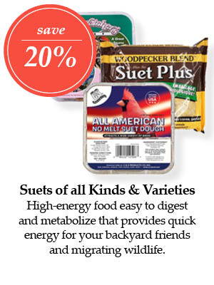 Suets of all Kinds and Varieties – Save 20%! High-energy food easy to digest and metabolize that provides quick energy for your backyard friends and migrating wildlife.