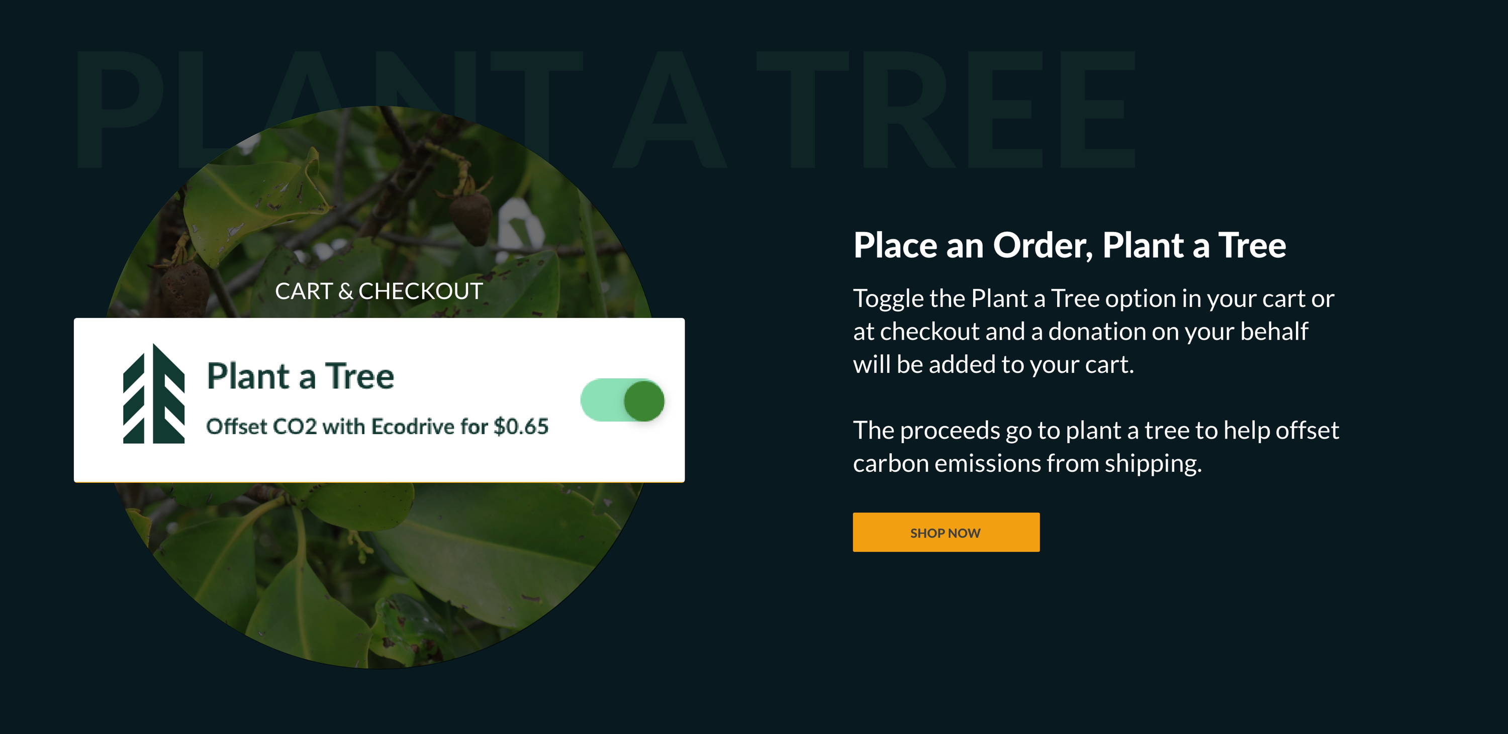 Place an Order Plant a Tree