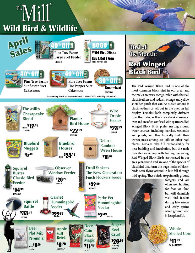April wild bird and wildlife circular page with monthly sales and timely products