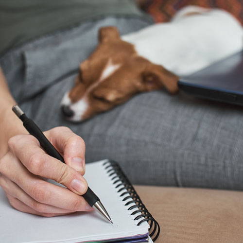 A person writing in a notepad while a dog sleeps on their lap