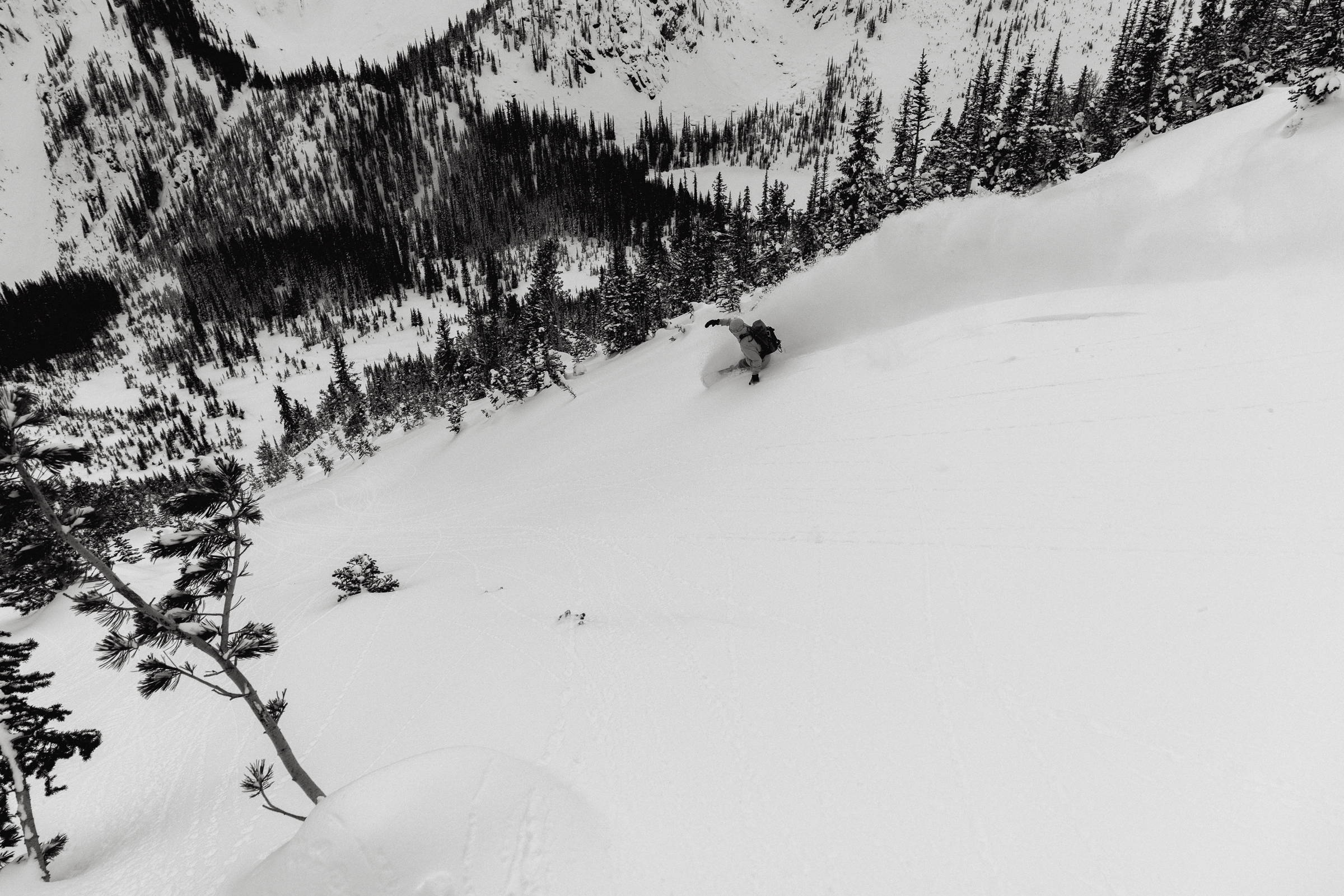 Biobased Splitboards WNDR Alpine Backcountry Snowboarding