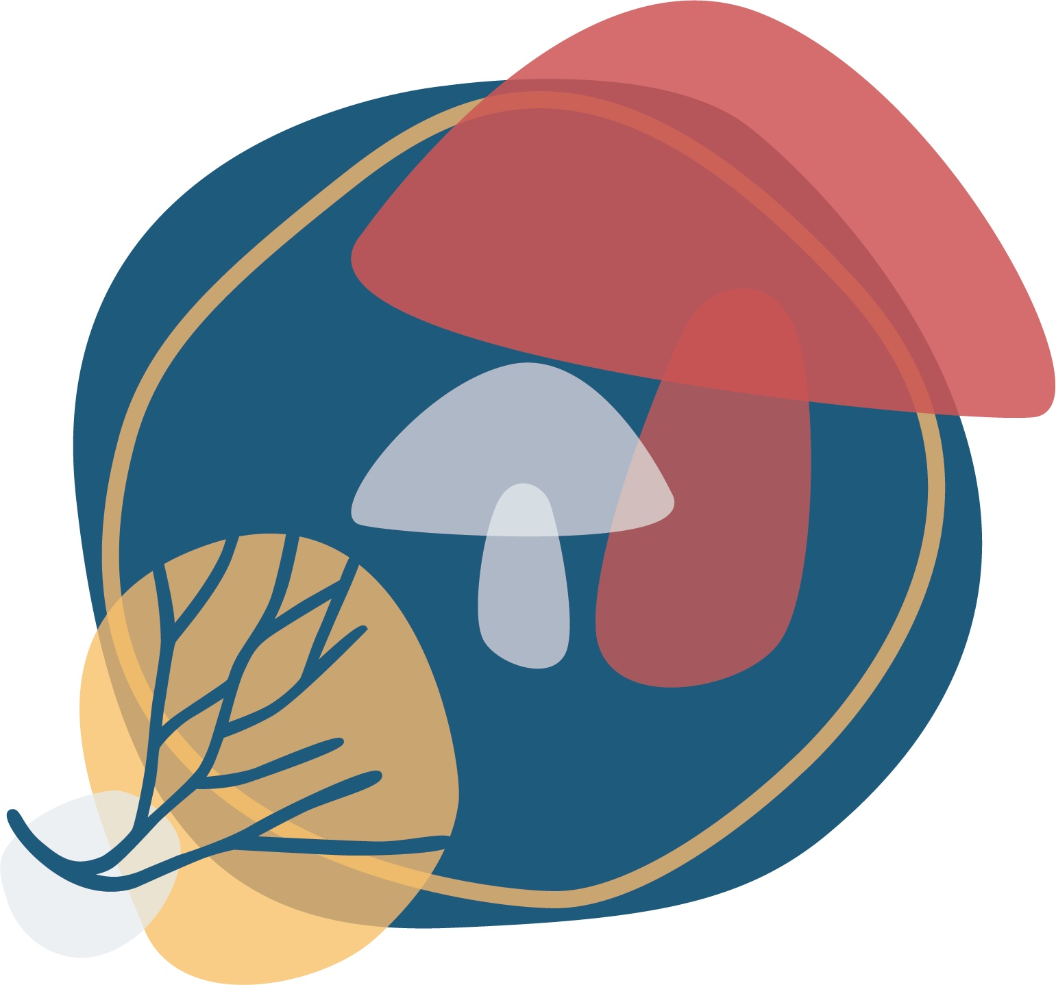 drawing of mushroom mycosphere