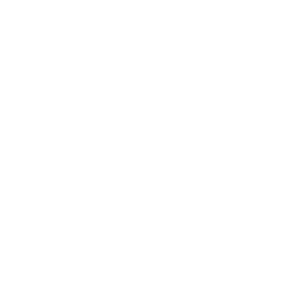 White lightning bolt icon