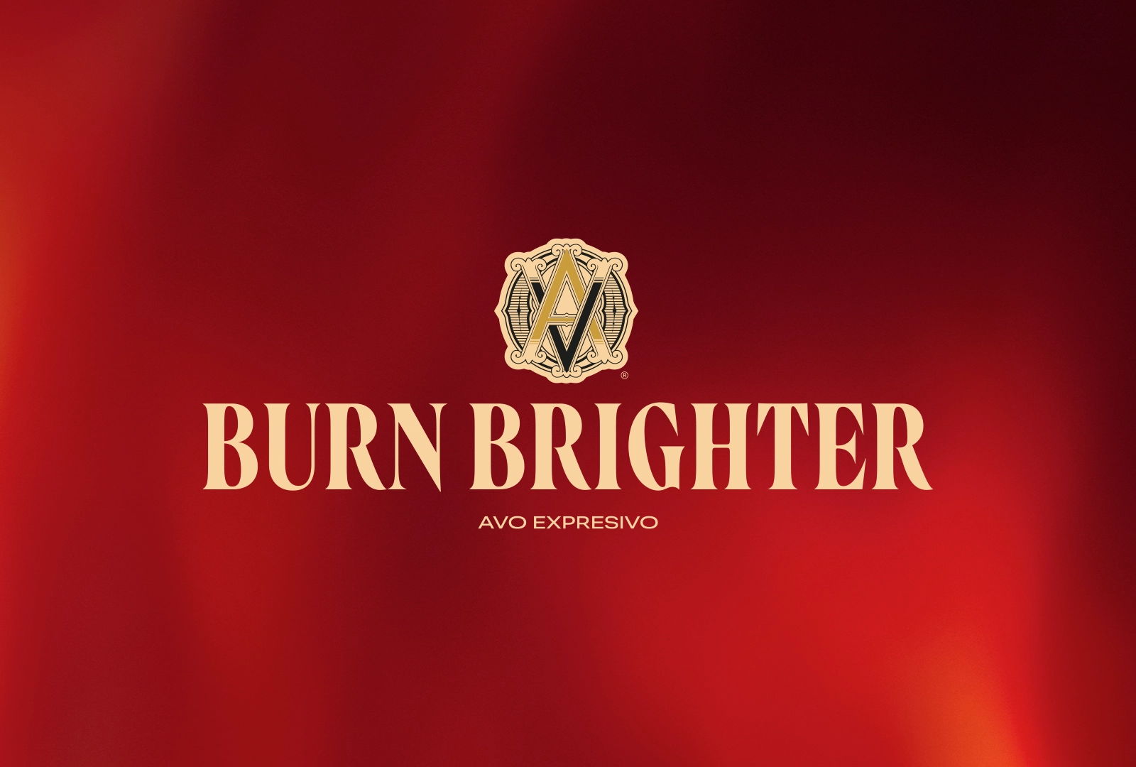 Key visual von AVO EXPRESIVO und BURN BRIGHTER. Image Size: 1350 x 1080, webp format