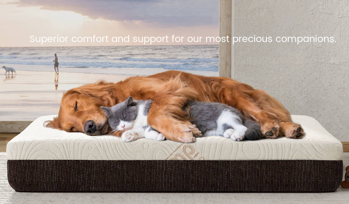 Superior comfort and support for our most precious companions, featuring a dog and cat laying down on a pet bed.