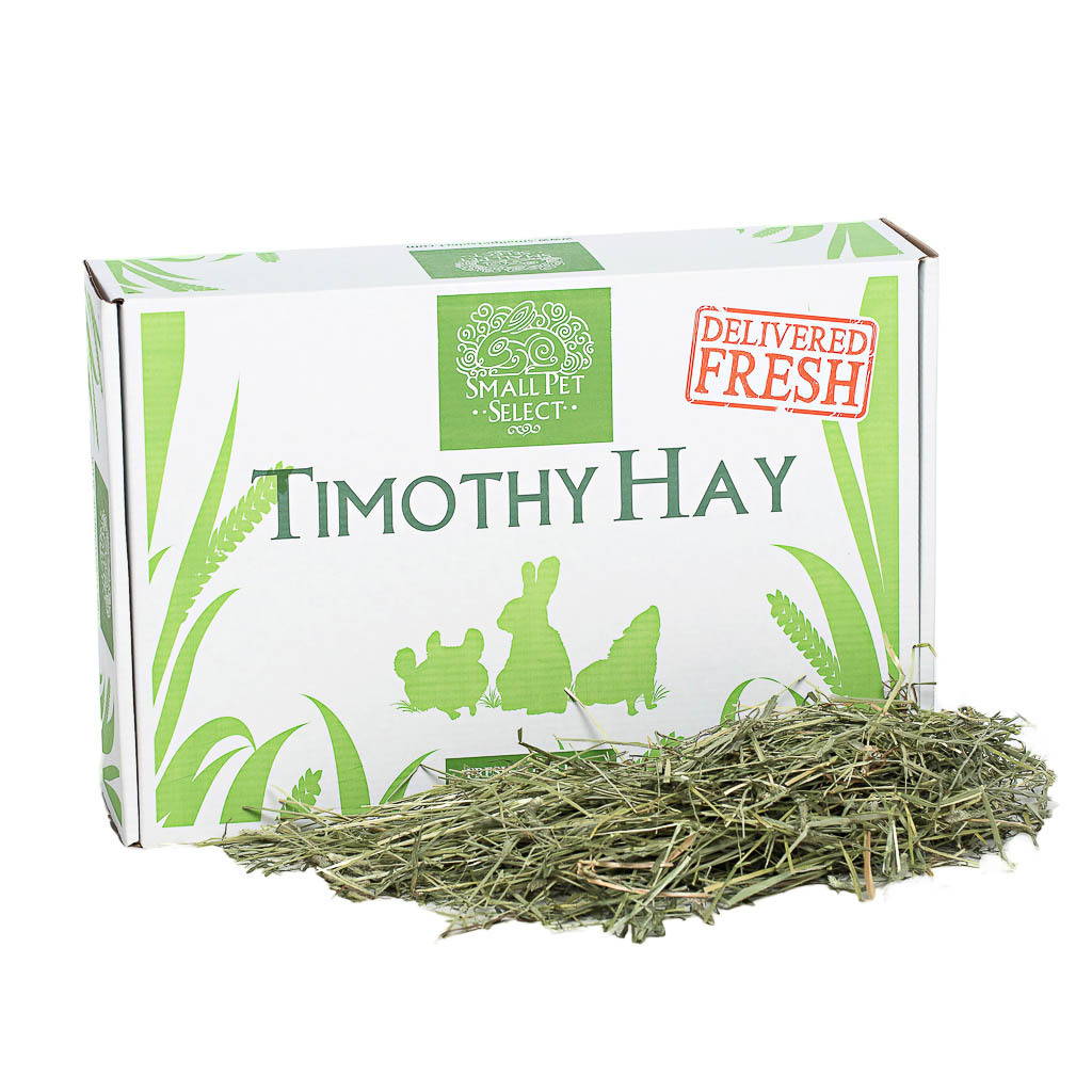 guinea pig hay