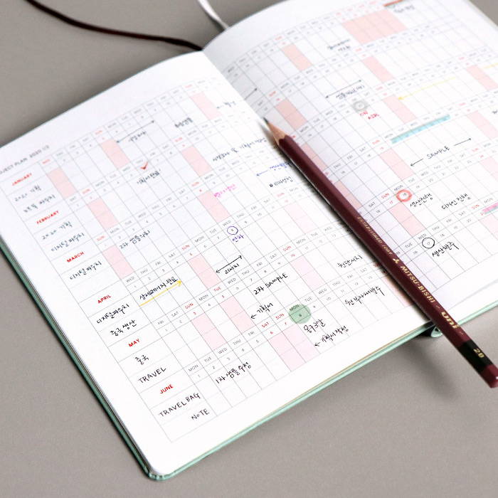 Project plan - ICONIC 2020 Brilliant dated daily planner scheduler