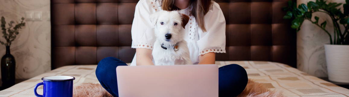 Bailey's blog image of a pet owner and dog, showcasing the bonding and benefits of CBD in pet care.