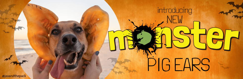 Orange halloween background with photo of monster pig ears being held up to a dog's ears. Text: 